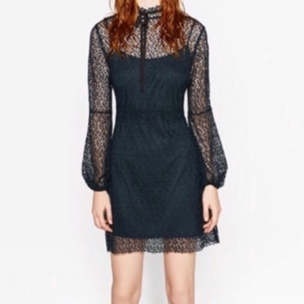 NWT Zara Green Lace Pattern Dress with Bow